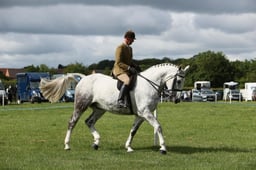 E36_0655 2026