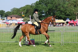 C33_0641 2026