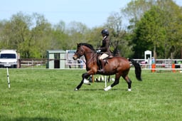 M19_0426 2026