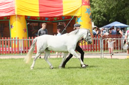 E34_1937 2026