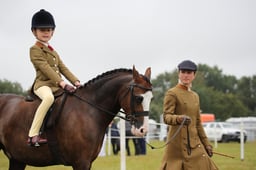 28 HOYS Lead Rein of Hunter Type