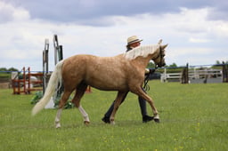 J36_7092 2026