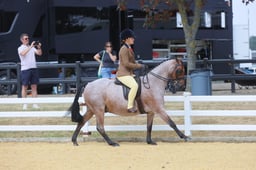 E65_1941 2026