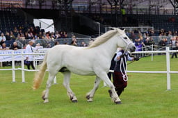 C44_0422 2026