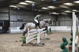 Class 72 RIHS Q Working Show Horse – 90cm