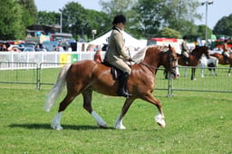 H33_4260 2026