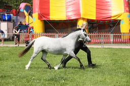 E34_1615 2026