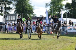 Pony Club Games