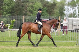 35-34 HOYS Hack Championship