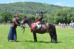 A42_1322 2026