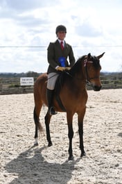 Class 29 First Season Show Horse