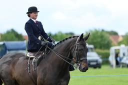 05 RIHS Ladies Hunter