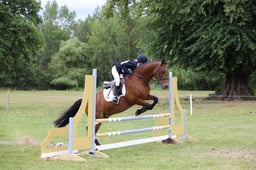 67 Seamus II