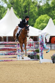 H28_3664 2026