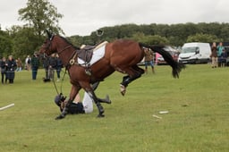 E39_1441 2026