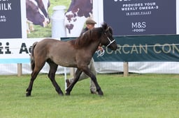 M44_0946 2026