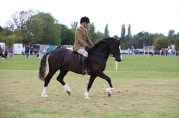 W36_1459 2026