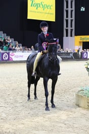 Show Pony of the Year 138cm