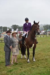 58 Senior 1.25m Open Showjumping