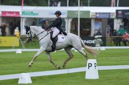 147 CHANTILLY AMATULLAH