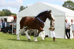 E36_1189 2026