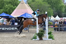 661 Castlegate Golden Boy