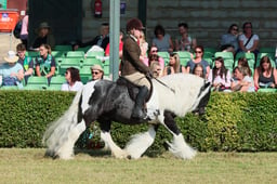 S61_0438 2026