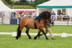 S29_0659 2026