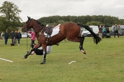 E39_1440 2026