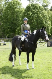 E31_3020 2026