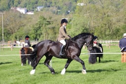 C19_0448 2026