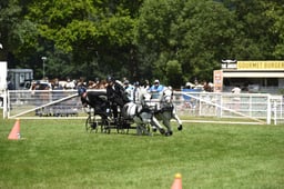 D42_1879 2026