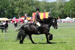 C33_1493 2026
