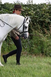 105 Lead Rein Working Sports Pony