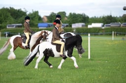 N36_0069 2026