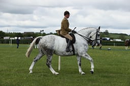 E36_0727 2026
