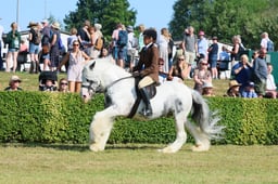 S61_0549 2026