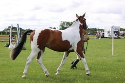 J36_5730 2026