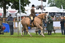 Ridden Cobs