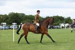 E36_0616 2026