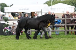 W29_1205 2026