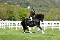 H19_0408 2026