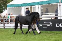 W29_0760 2026