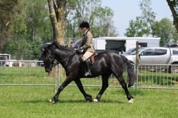 C33_1603 2026