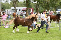 E34_2338 2026