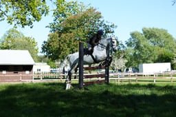 M19_0950 2026