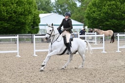 91 Working Hunter Pony 143cm
