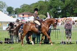 C33_0958 2026
