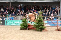 Jubilee Ring