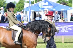 560 HOYS M&M Lead Rein